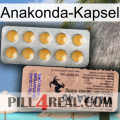 Anaconda Capsule 41
